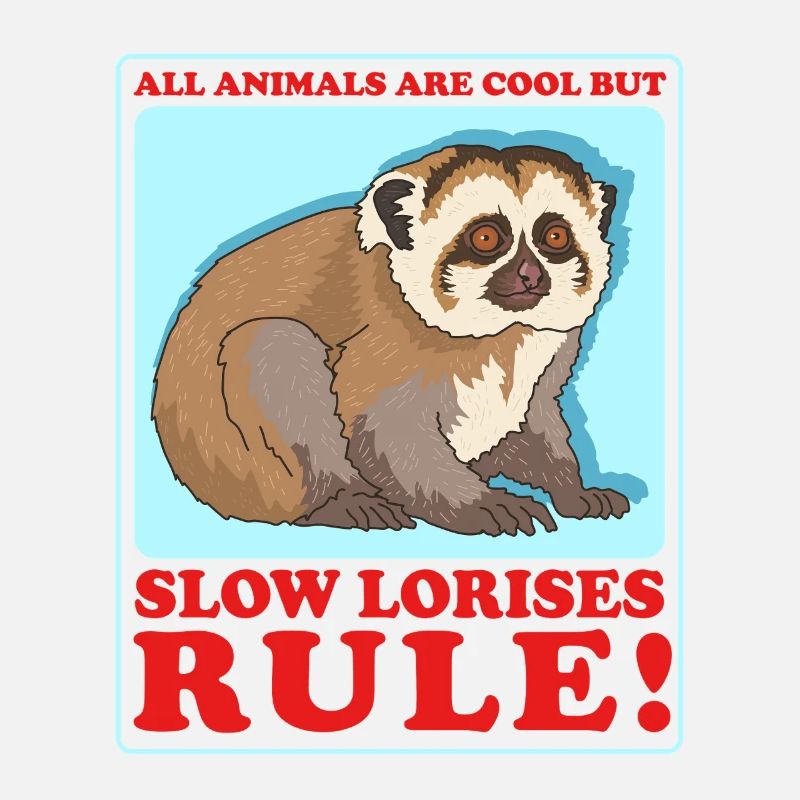 Cadeau Slow Lorises