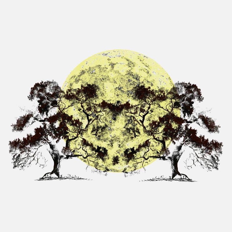 Moon, Forest, Trees, Nature, Botany, Flora