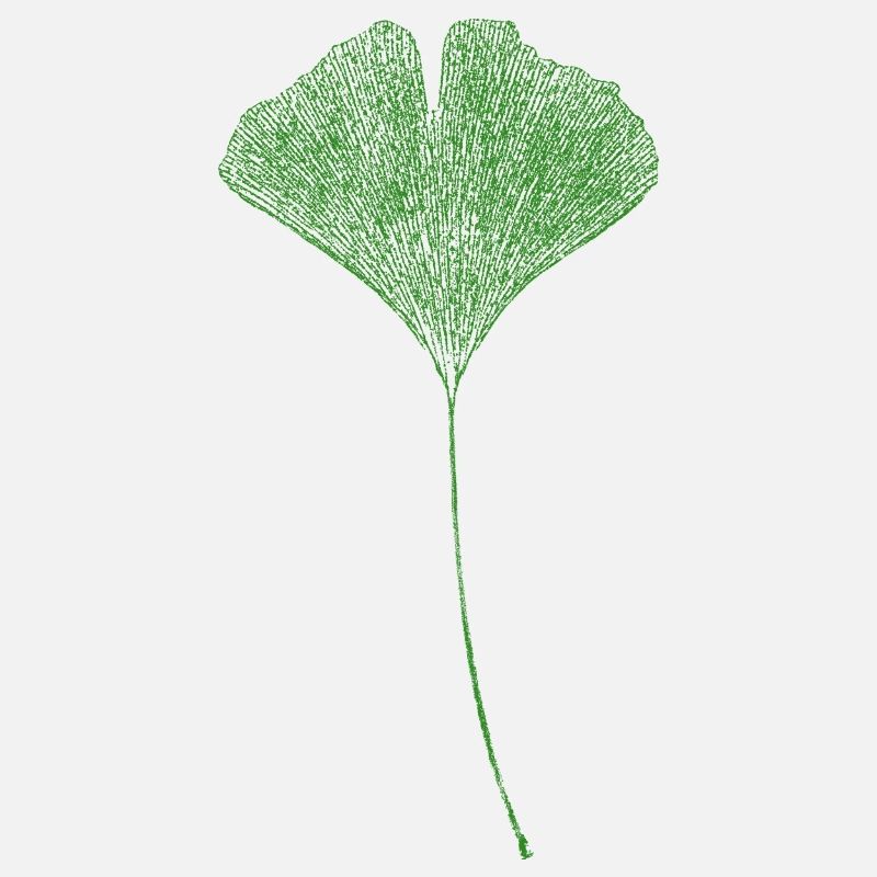Ginkgo Leaf / Impression NATURELLE