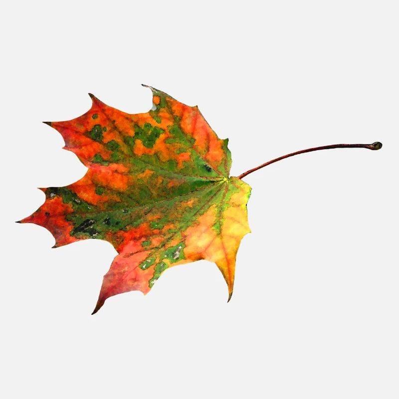 Buntes Blatt