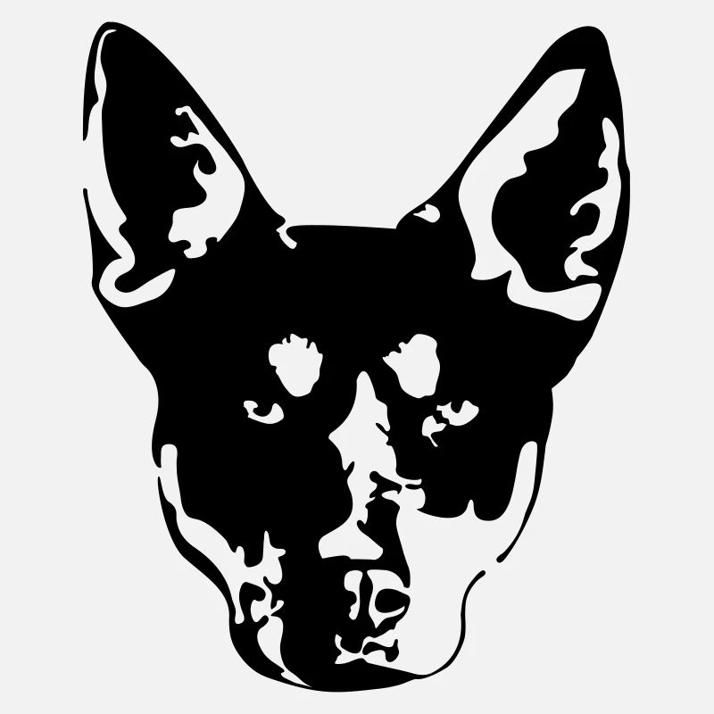 Kelpie Kopf