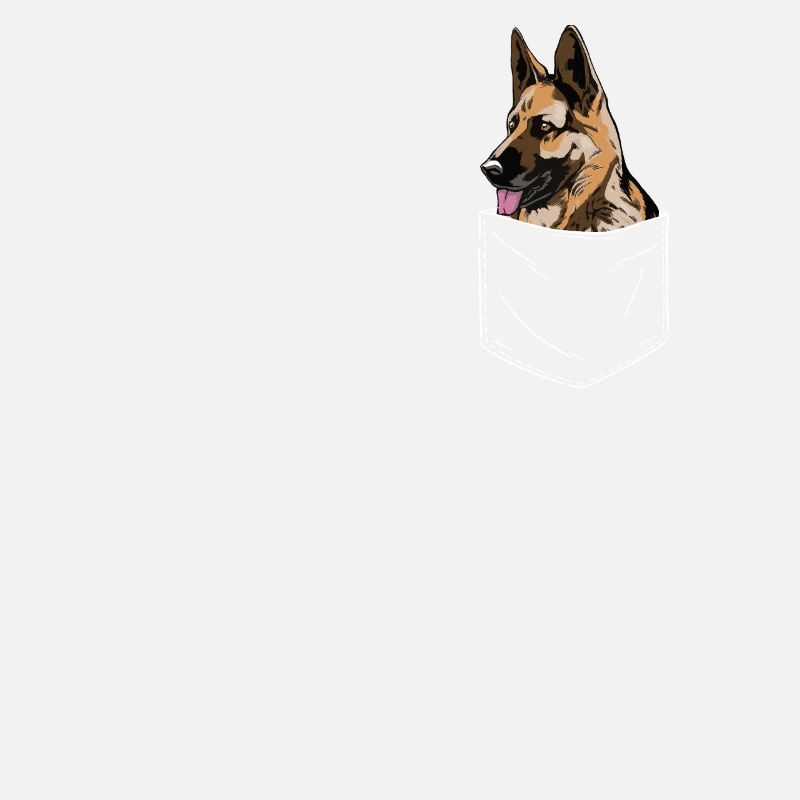 Malinois Hund
