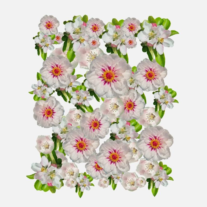 Insider Tip Pink Blossoms Blossom Magic Flowers Spring