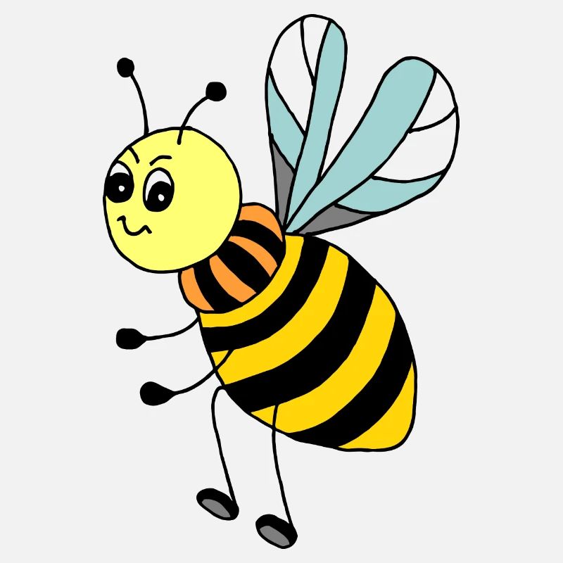 Insect