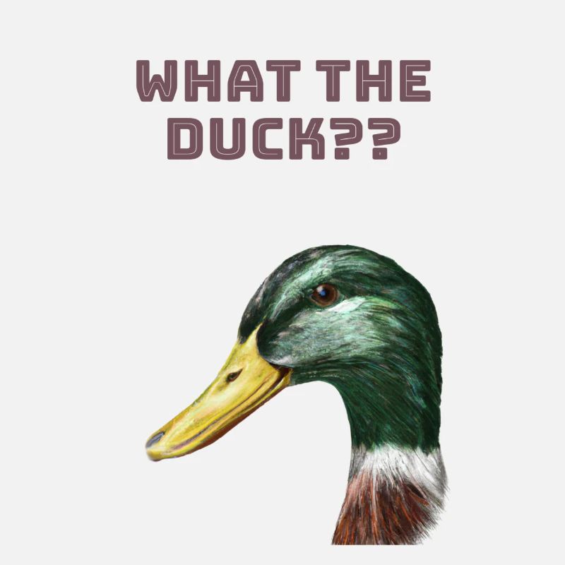 What the duck?