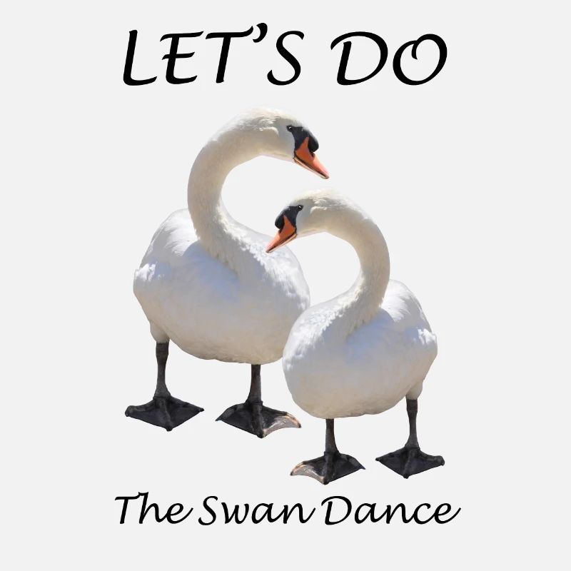 Cygne
