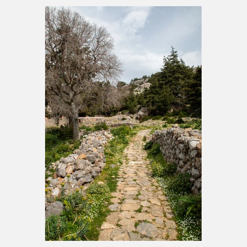 ruines du château médiéval Palio Pyli Kos