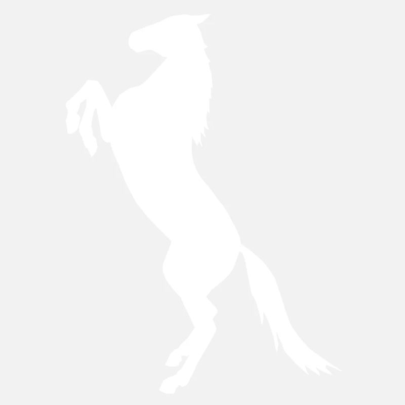 élevage de chevaux