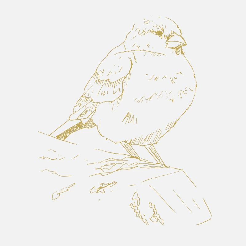 Illustrierte Designs mit Spatz
