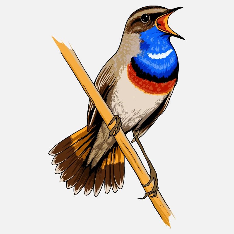 Bluethroat
