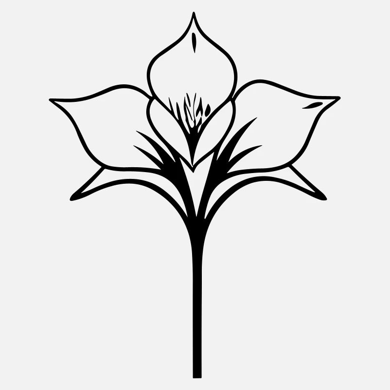 Blume