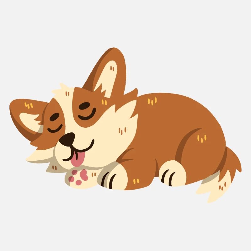 Corgi dort