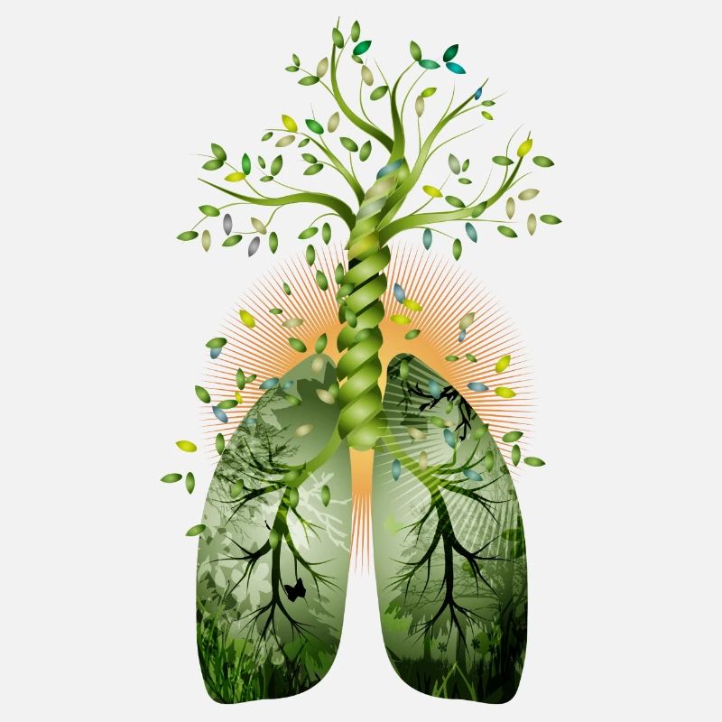 The forest, the green lung. Tree with lung