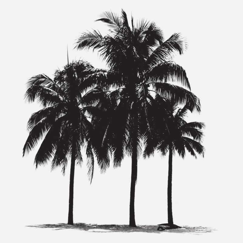 Palmen