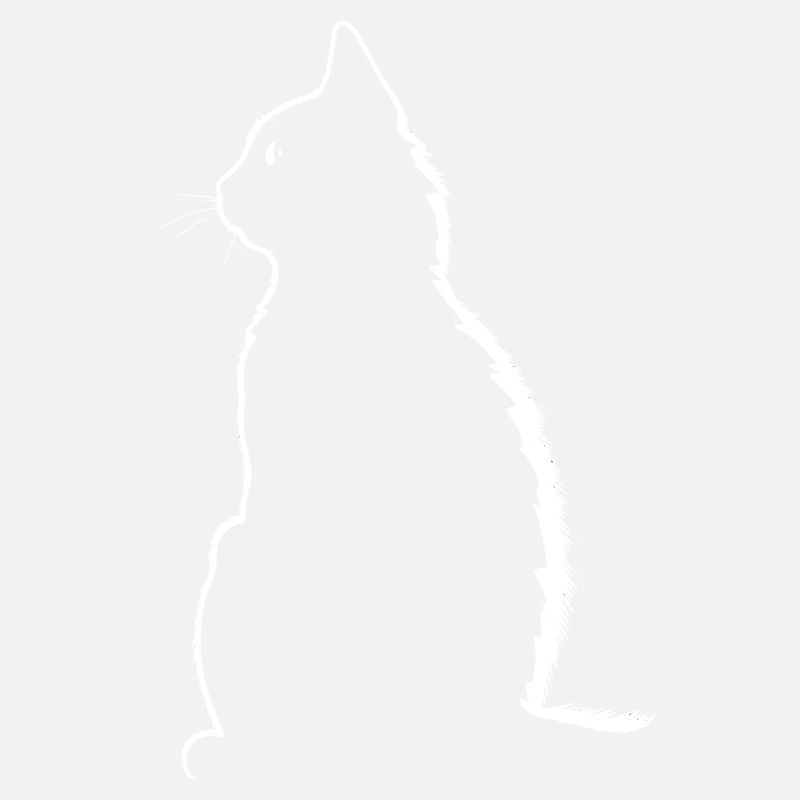 Chat, Motif De Chat