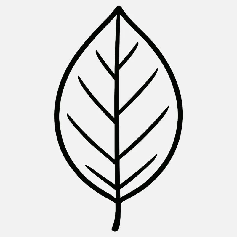 Black leaf line design