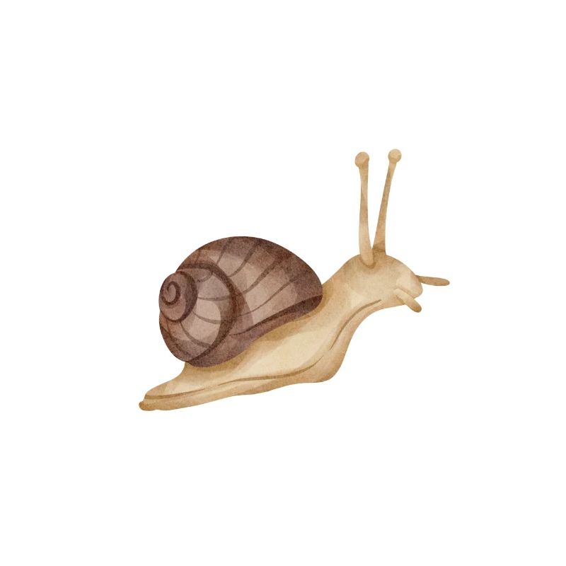 C’est Berta Nous faisons du jogging ensemble Escargot