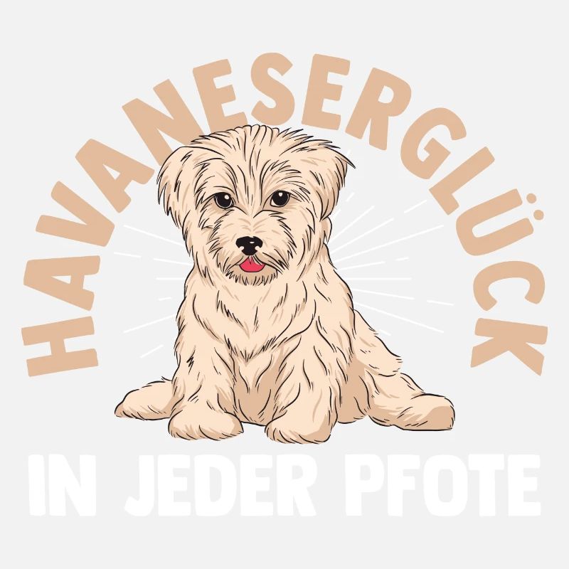 Dog Havanese