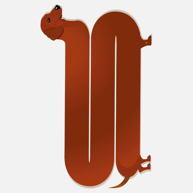 dachshund