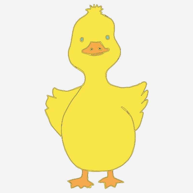 Duck funny