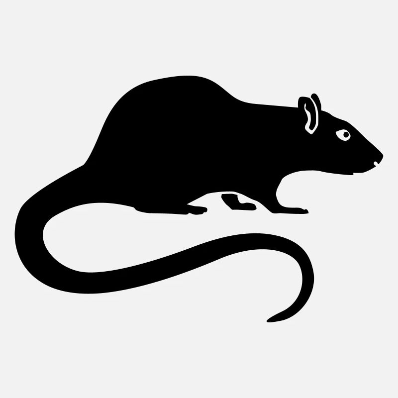 Ratte