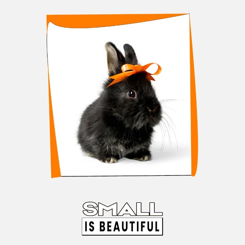 Petit animal mignon. Petit c’est beau.