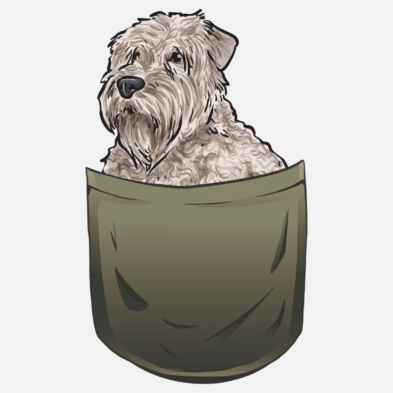 Irish Soft Coated Wheaten Terrier