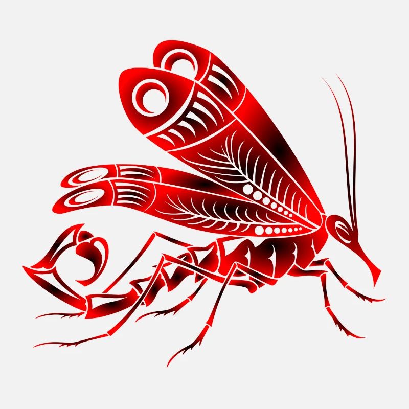 mosqui 16
