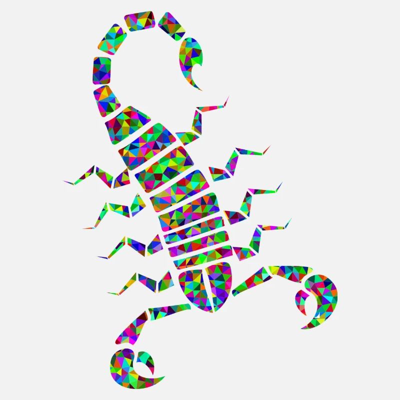 skorp 7