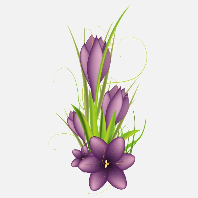 Delicate purple crocuses in elegant illustration