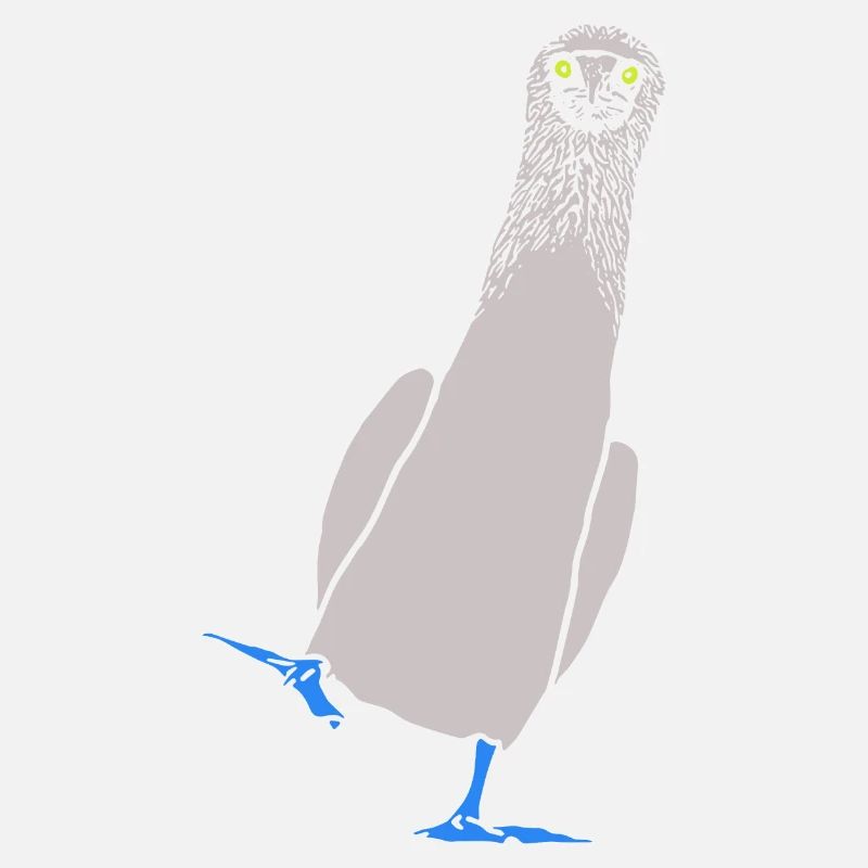Booby