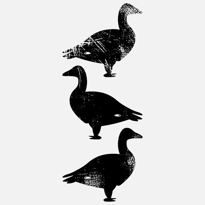 Duck Goose