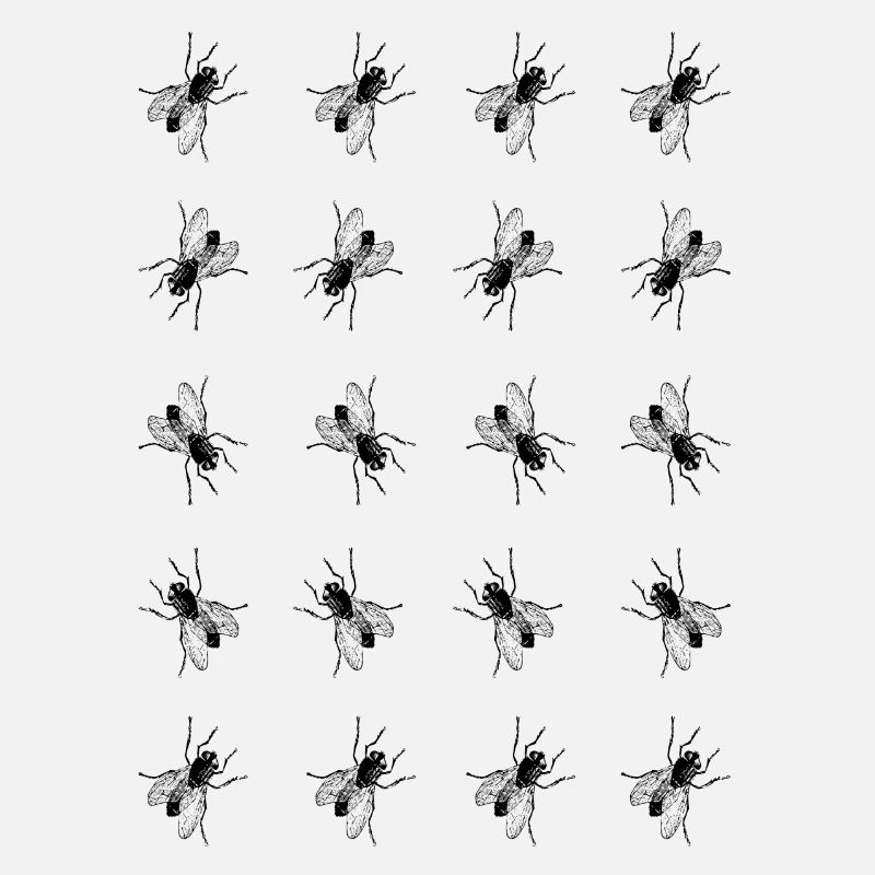 fly