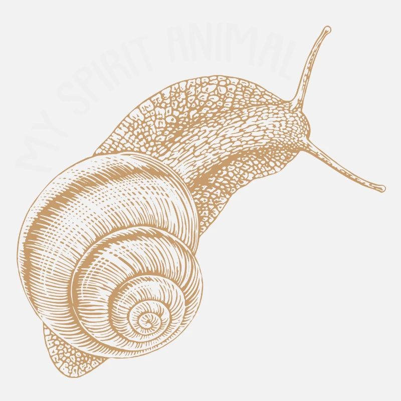 Escargot mon animal préféré mon