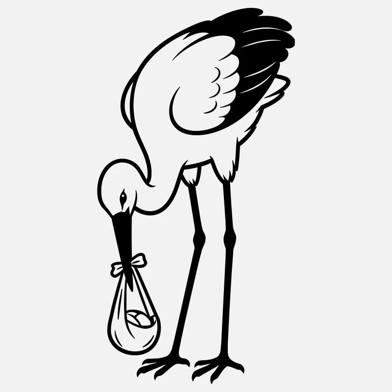 Bébé cigogne