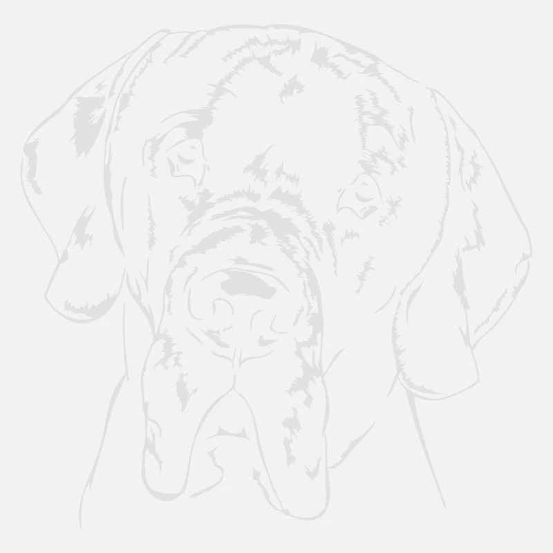 Great Dane - Great Dane