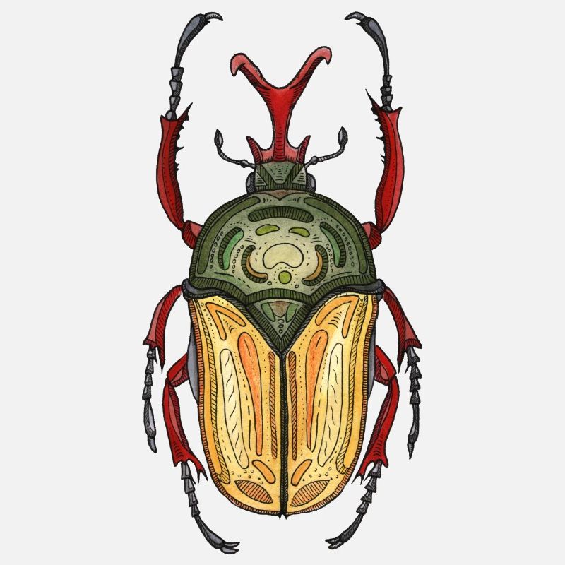 Big Stag - Coléoptère cerf géant