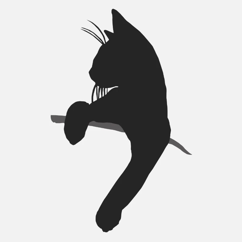 Chat drôle dans le sac