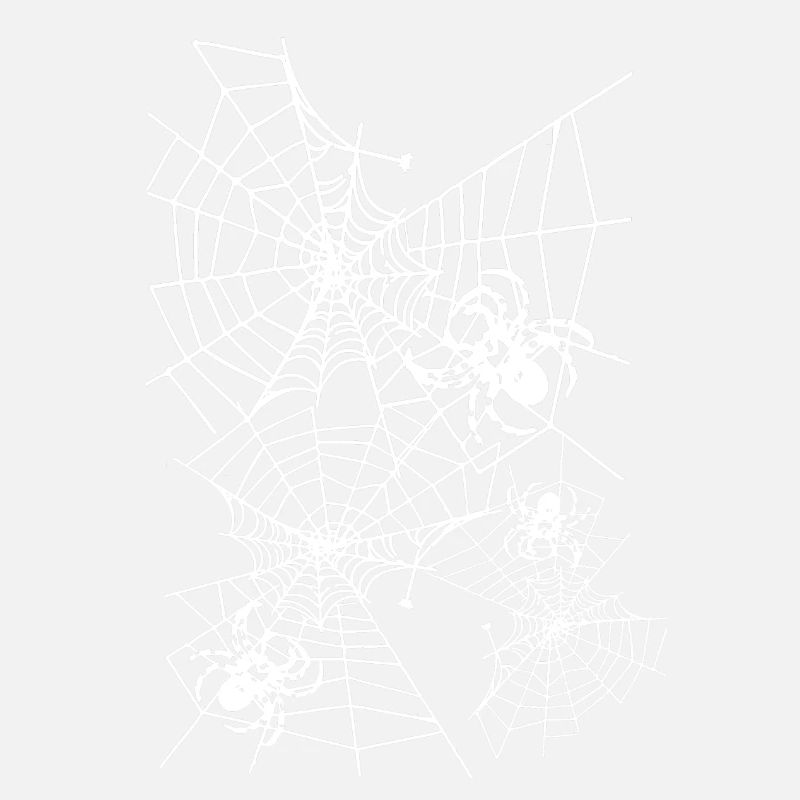 Spider, spider web, white web, Halloween