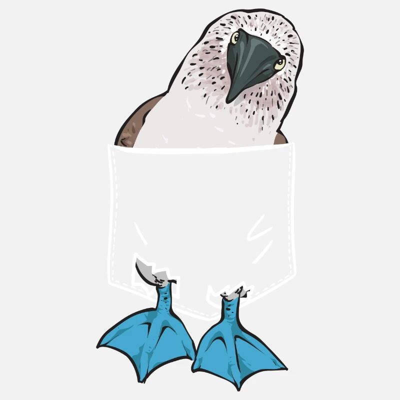 Blaufußtölpel Blue-footed Booby Seevogel