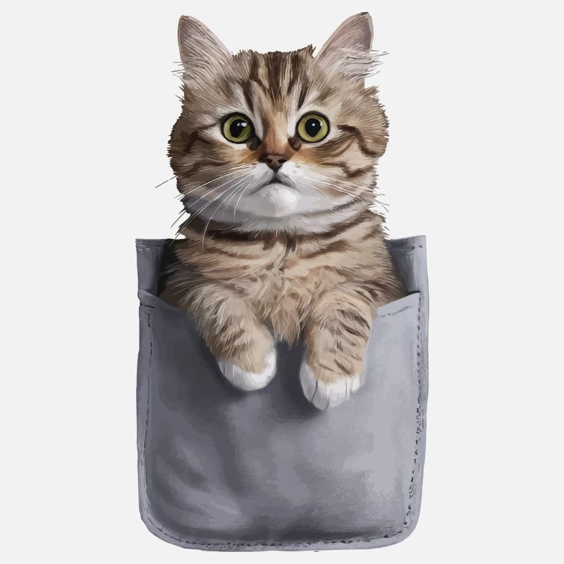 Ragdoll-Katze in der Tasche Geschenk