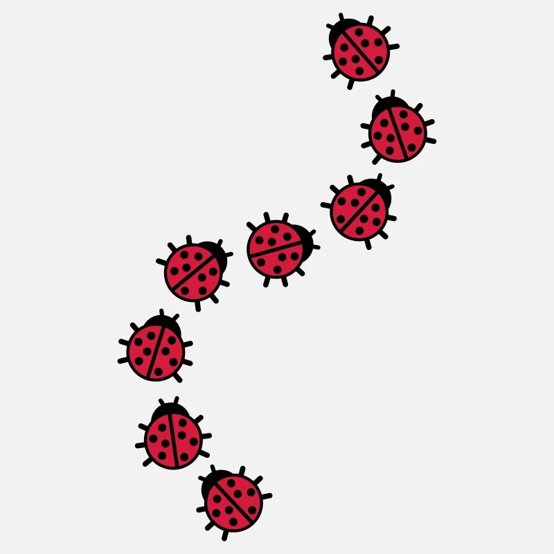 Ladybug