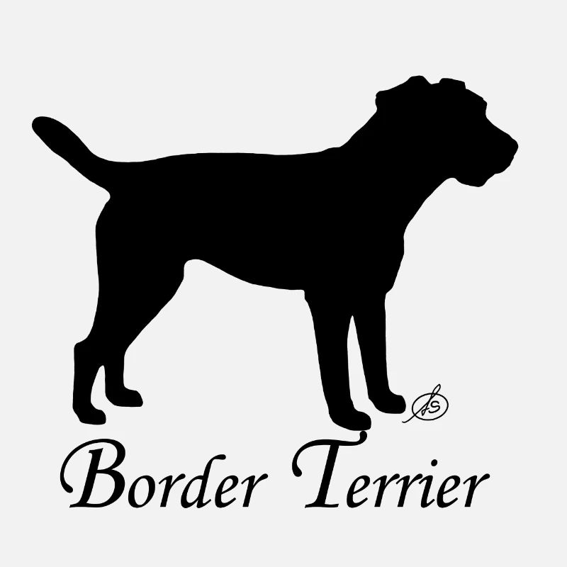 Border Terrier