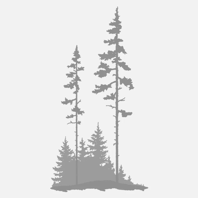 Blick in den Wald