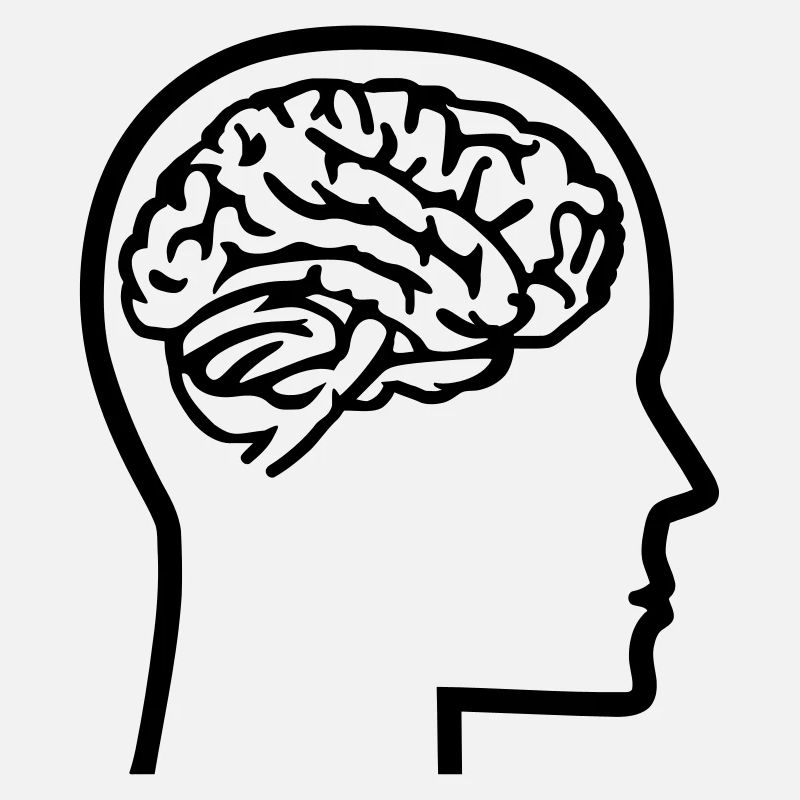 Brain