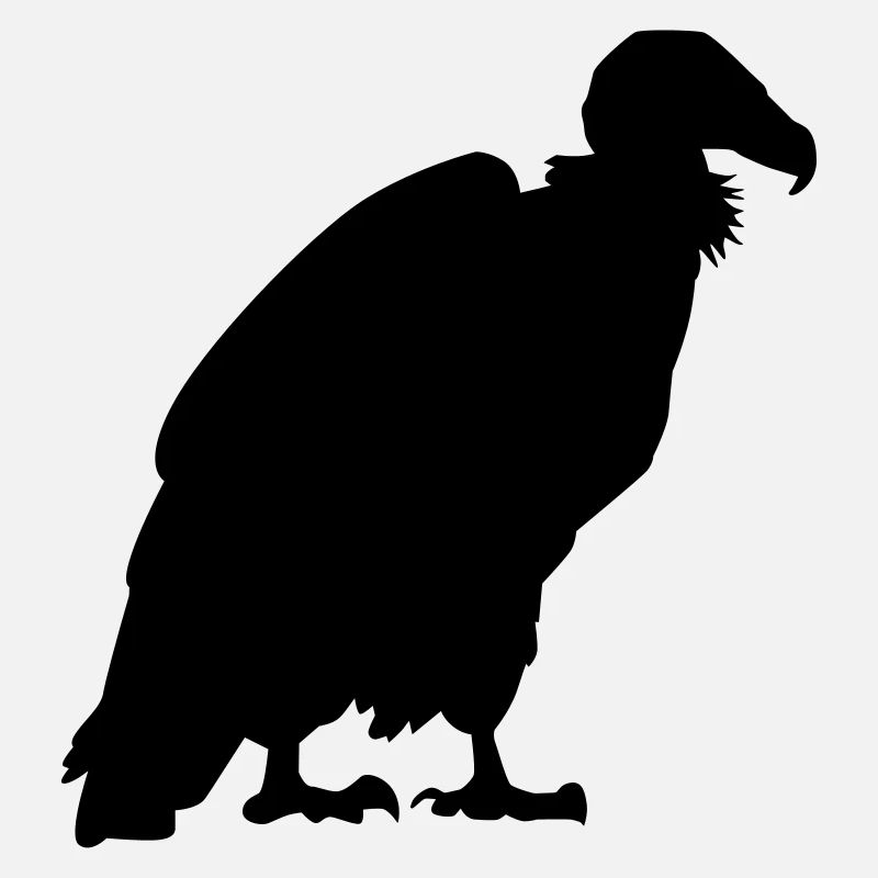 Vulture
