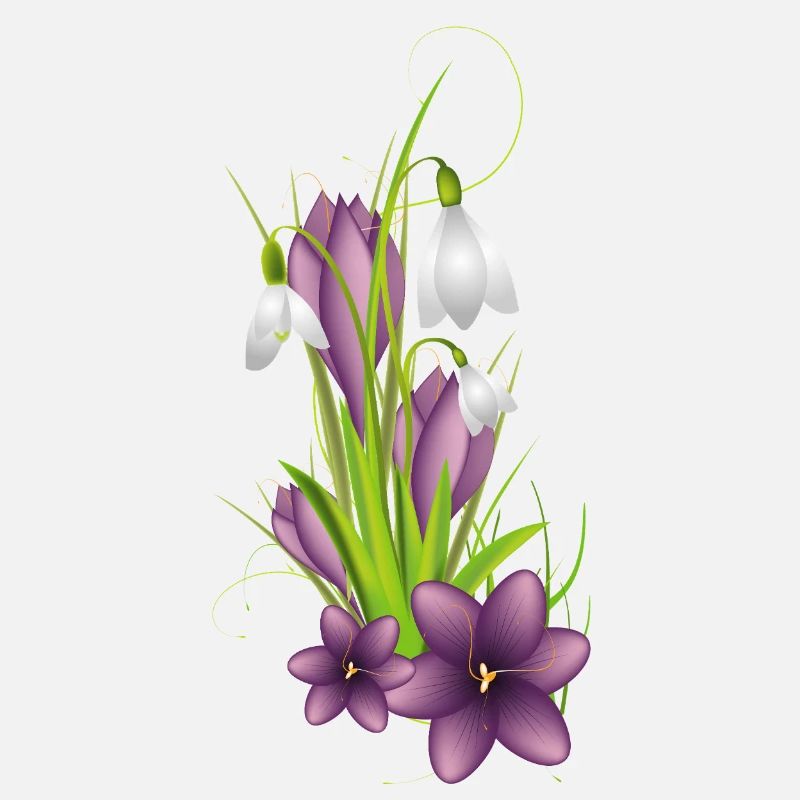 Snowdrops and delicate crocuses in illustration