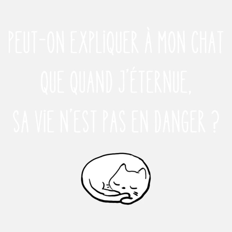 peut-on expliquer à mon chat