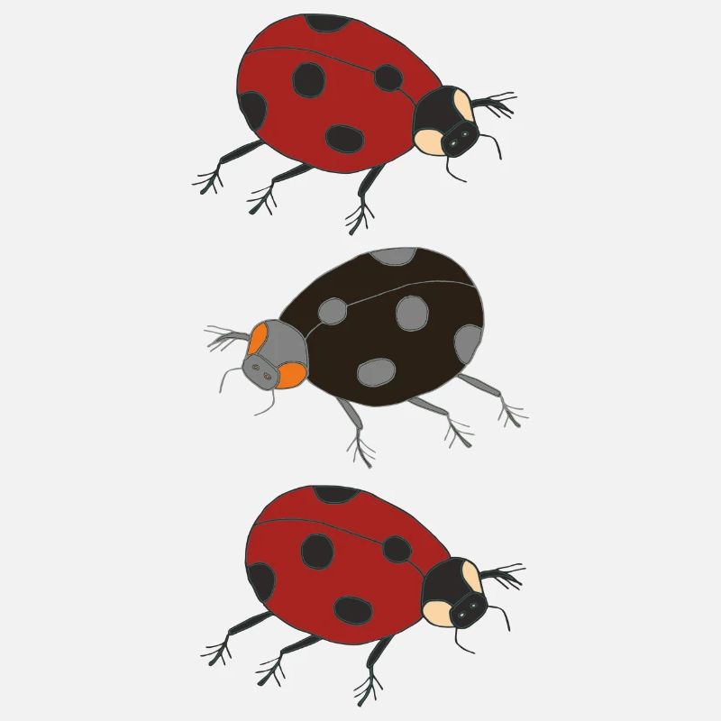trio de coccinelles