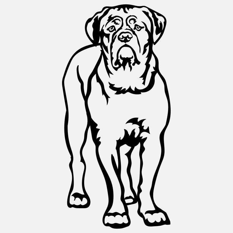 Dogue de Bordeaux